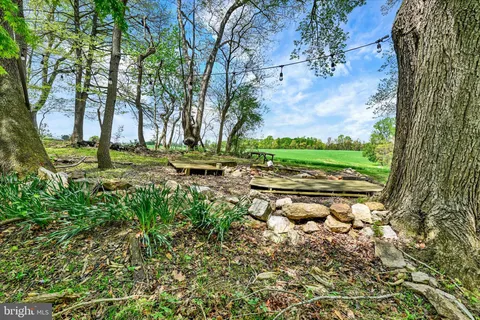 a view of a park with large trees
