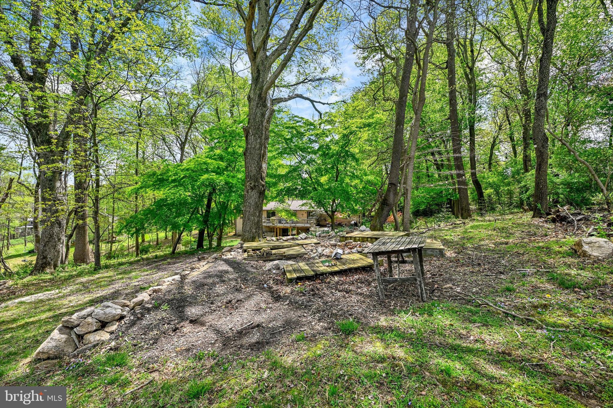 6 Drew Court Baldwin, MD 21013 - Photo 39 of 39 a view of a park with large trees