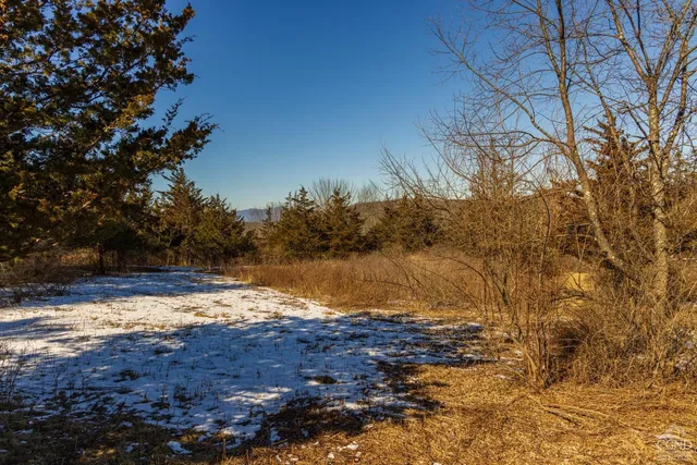 a view of outdoor space with trees