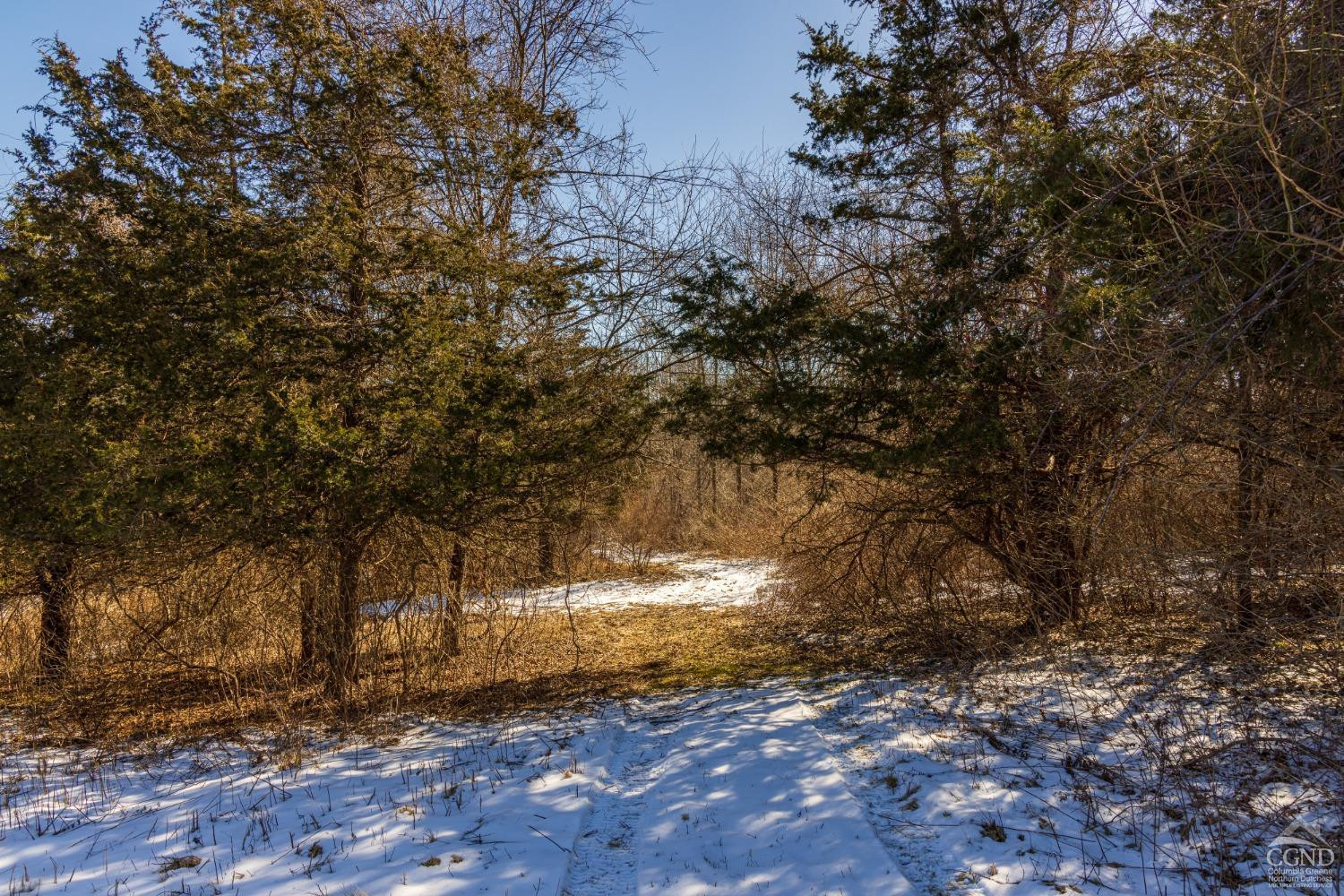 0 State Route 199 Road Milan, NY 12571 - Photo 27 of 37 Photo 27