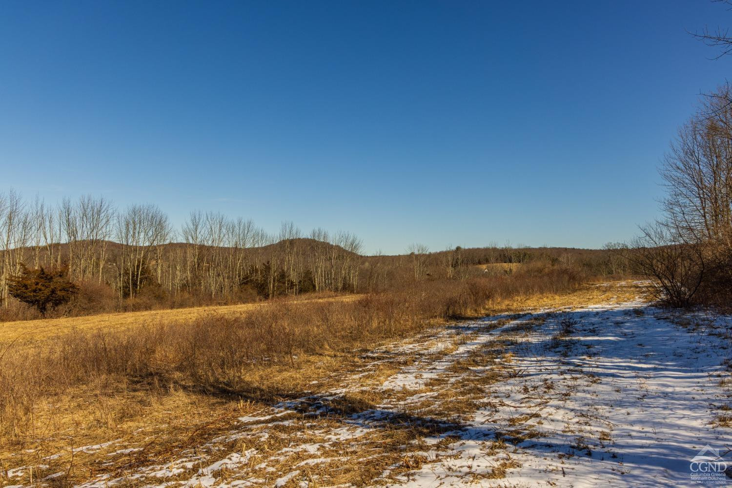 0 State Route 199 Road Milan, NY 12571 - Photo 28 of 37 Photo 28