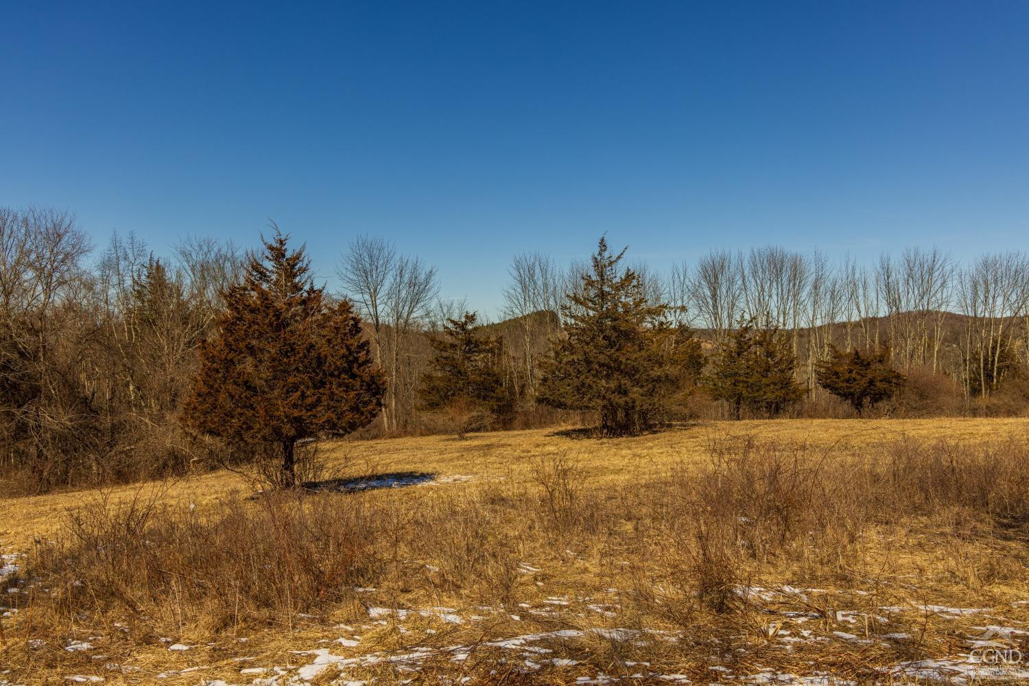 0 State Route 199 Road Milan, NY 12571 - Photo 29 of 37 Photo 29