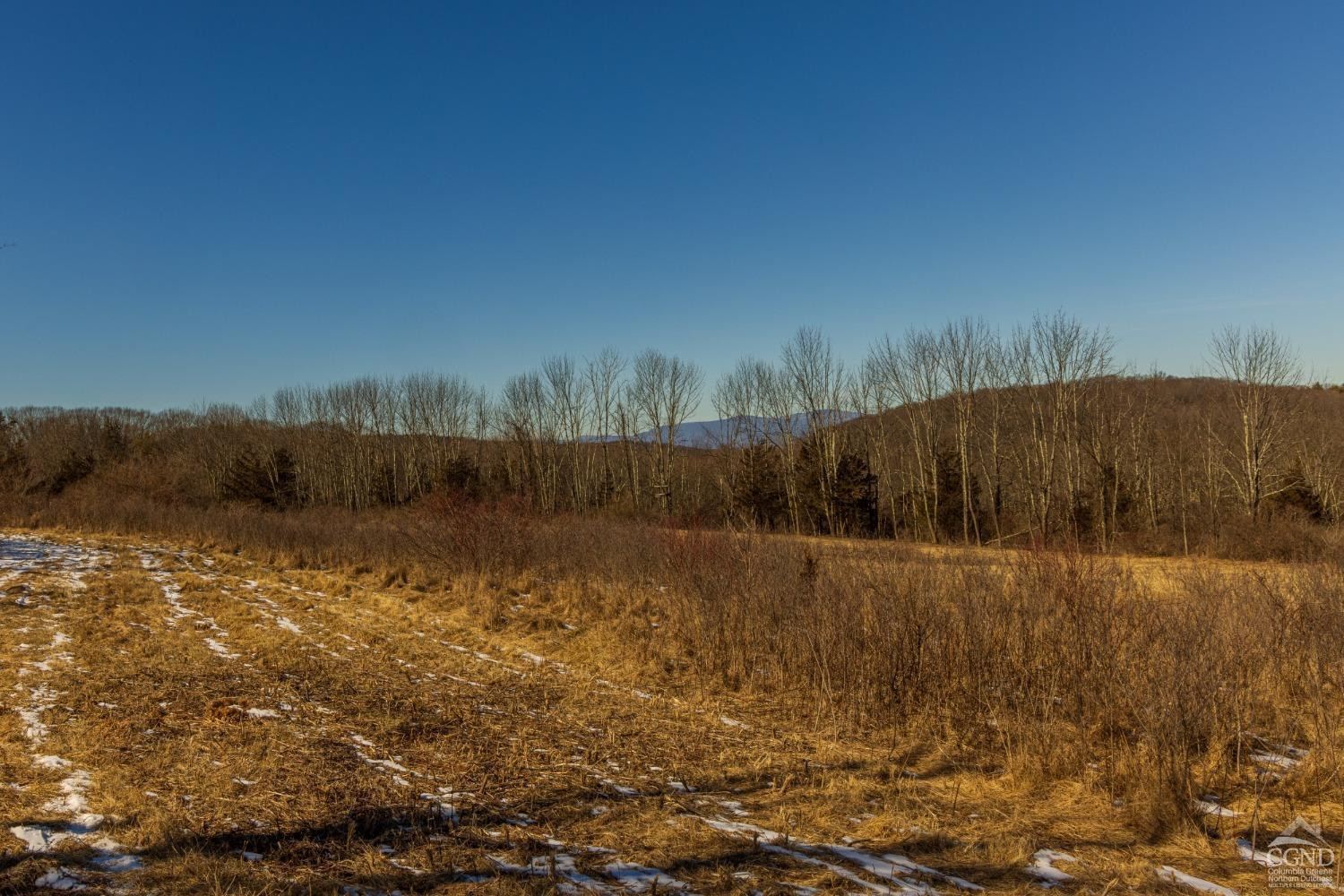 0 State Route 199 Road Milan, NY 12571 - Photo 31 of 37 Photo 31