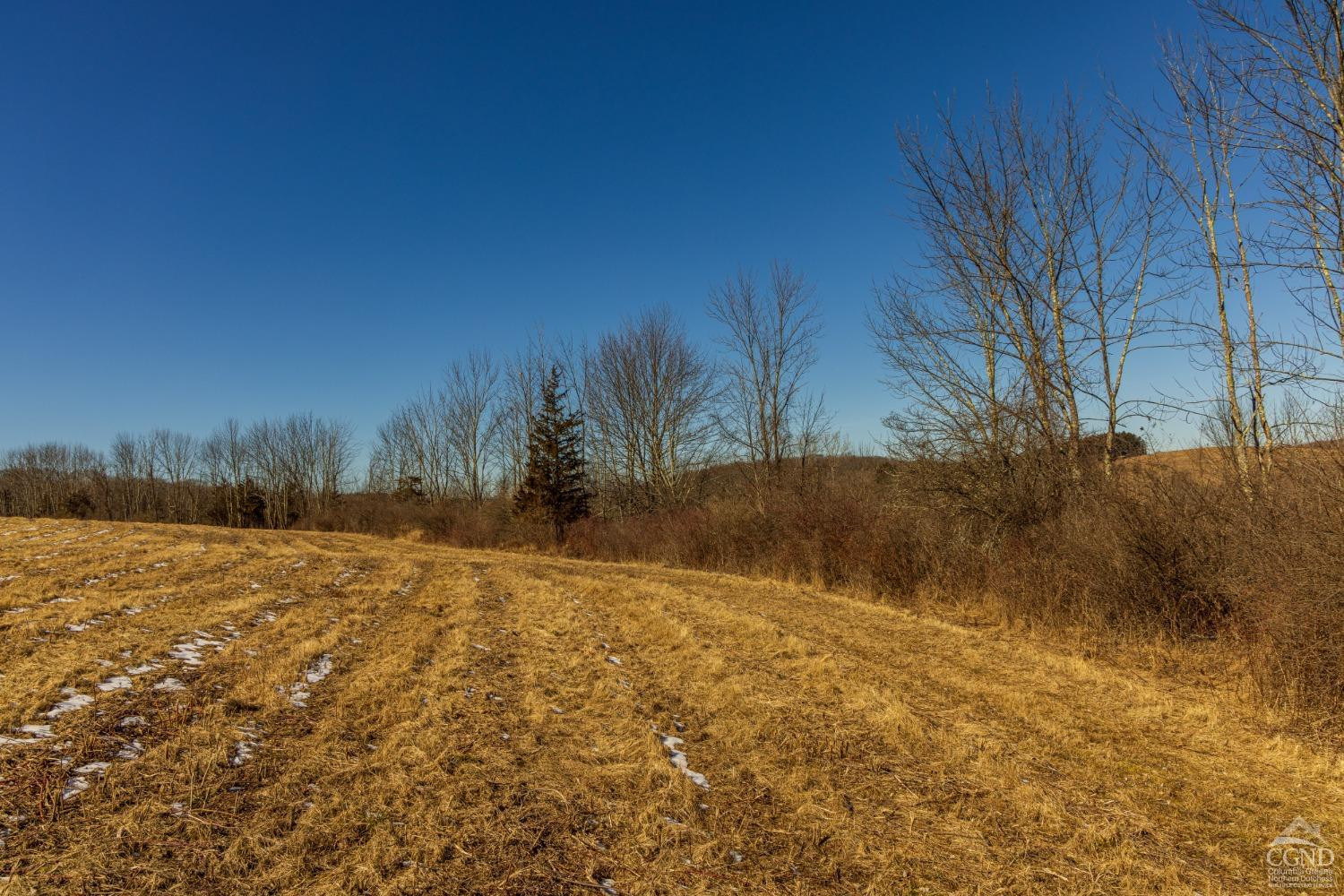 0 State Route 199 Road Milan, NY 12571 - Photo 33 of 37 Photo 33