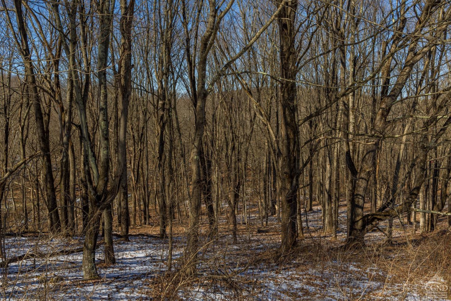 0 State Route 199 Road Milan, NY 12571 - Photo 34 of 37 Photo 34