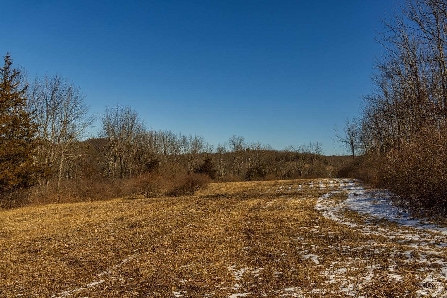 0 State Route 199 Road Milan, NY 12571 - Photo 4 of 37 Photo 4