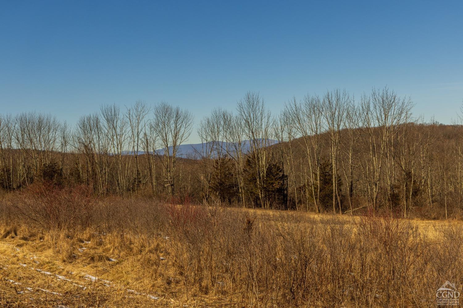 0 State Route 199 Road Milan, NY 12571 - Photo 5 of 37 Photo 5