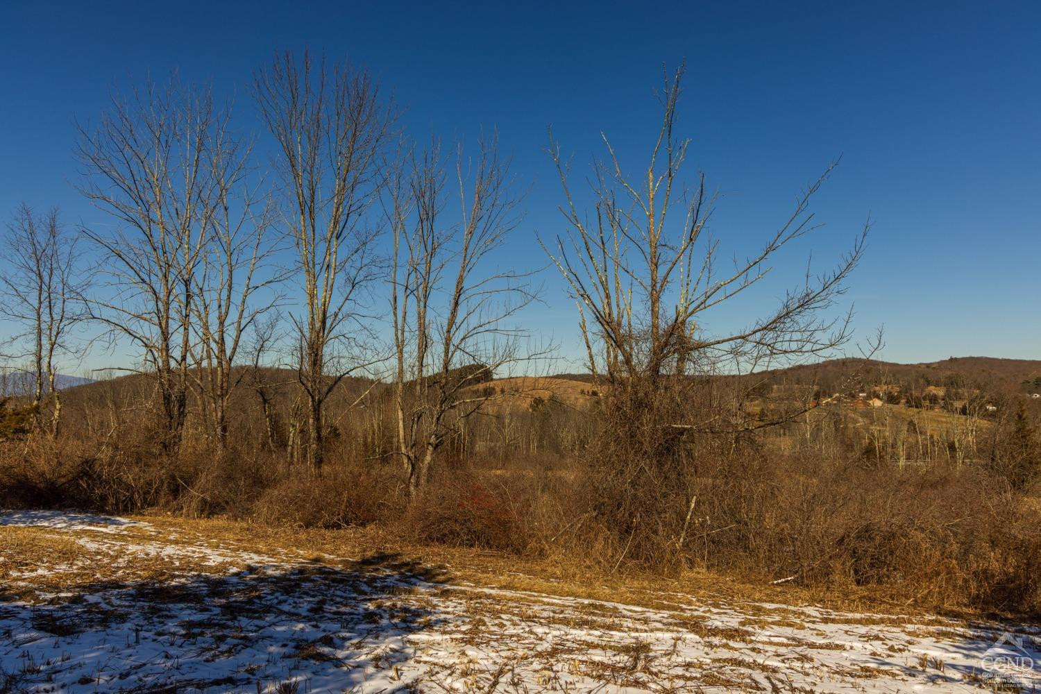 0 State Route 199 Road Milan, NY 12571 - Photo 6 of 37 Photo 6