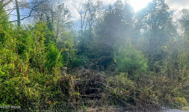 $18,000 | 992 Bartlett Street, Macon, GA 31204