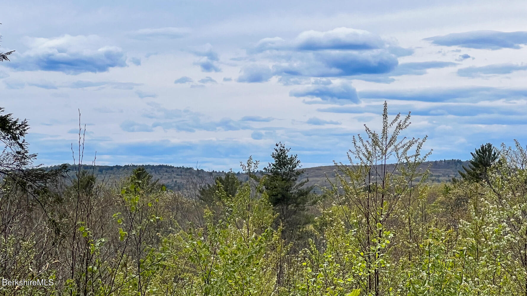58 Stanley Road East Otis, MA 01029 - Photo 8 of 14 a view of a yard