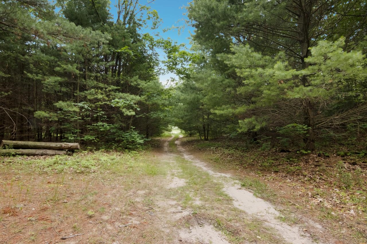 8613 Anderson Road Kaleva, MI 49645 - Photo 66 of 73 1924208-0264d5dc-dbb6-42bf-aec2-2d2acd565ba6.JPG
