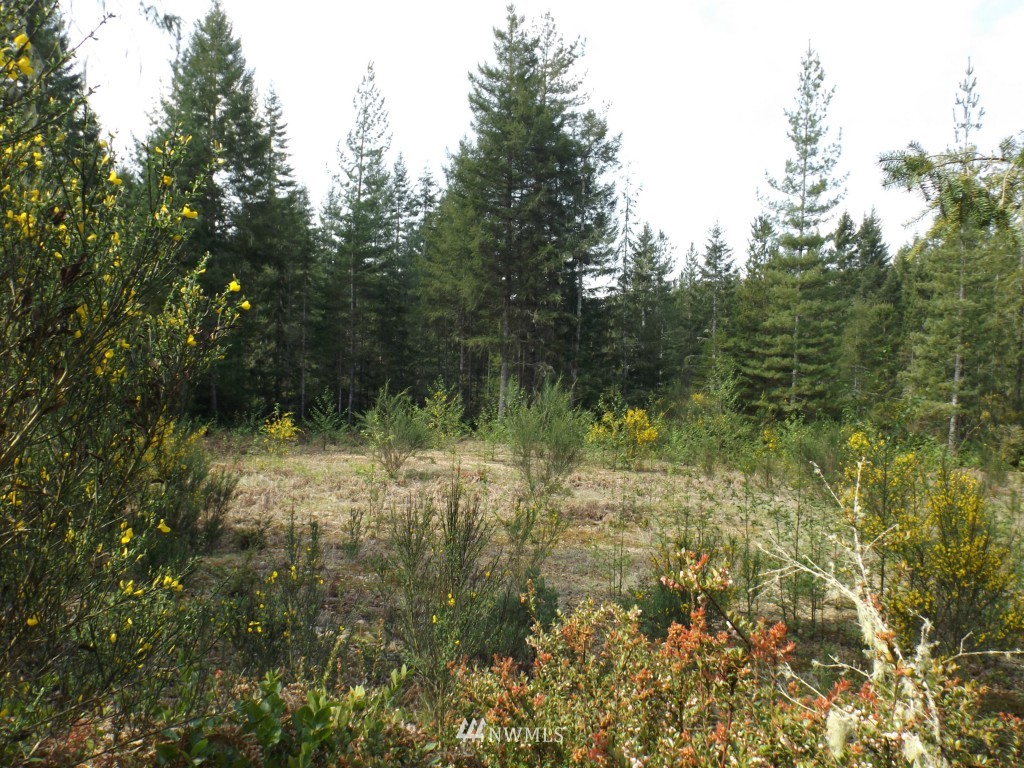 993 Northeast Hurd Road Belfair, WA 98528 - Photo 1 of 5 Gallery Image 1