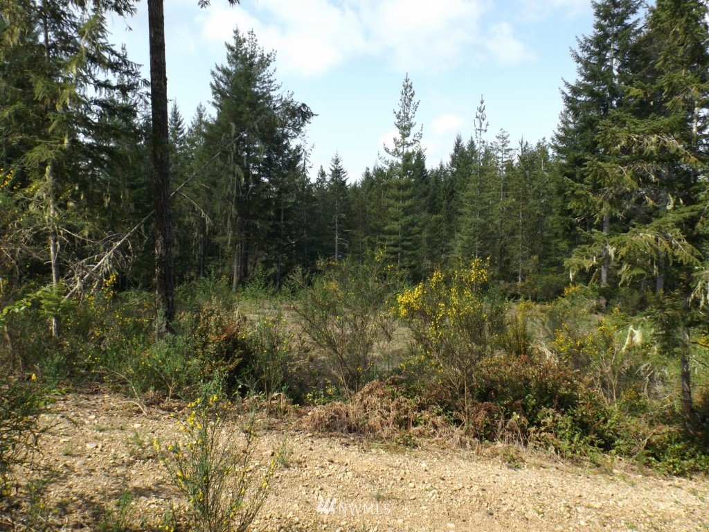 993 Northeast Hurd Road Belfair, WA 98528 - Photo 2 of 5 Gallery Image 2