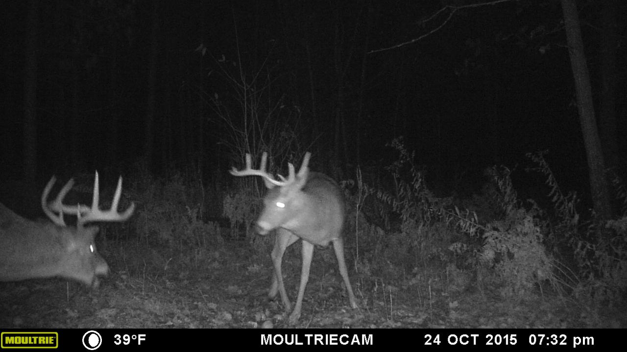 On On Slizewski Road Rhinelander, WI 54501 - Photo 18 of 18 Gallery Image 18