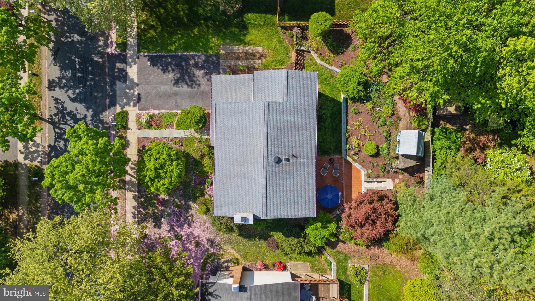 1126 Neptune Place Annapolis, MD 21409 - Photo 72 of 79 Mature landscape