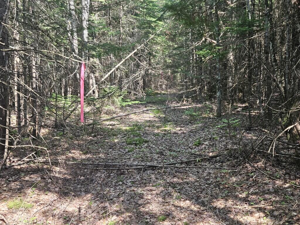 5 Farmington Falls Road New Sharon, ME 04955 - Photo 17 of 39 20260629_153131
