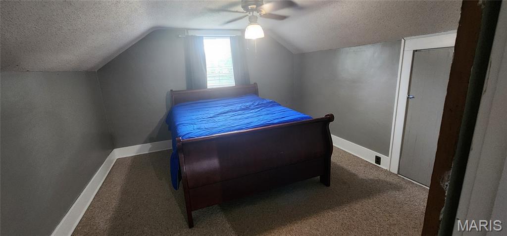 249 Maple Street Chester, IL 62233 - Photo 20 of 30 Gallery Image 20