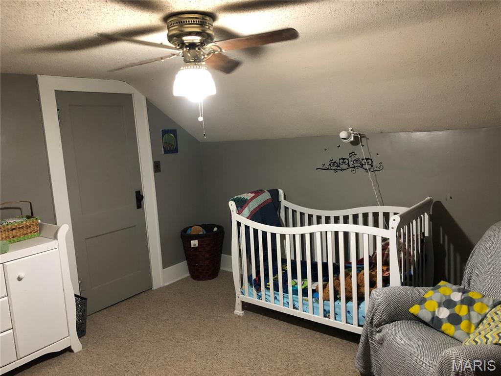 249 Maple Street Chester, IL 62233 - Photo 8 of 30 Gallery Image 8
