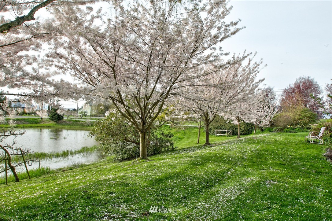 8007 Farm To Market Road Bow, WA 98232 - Photo 23 of 25 Gallery Image 23