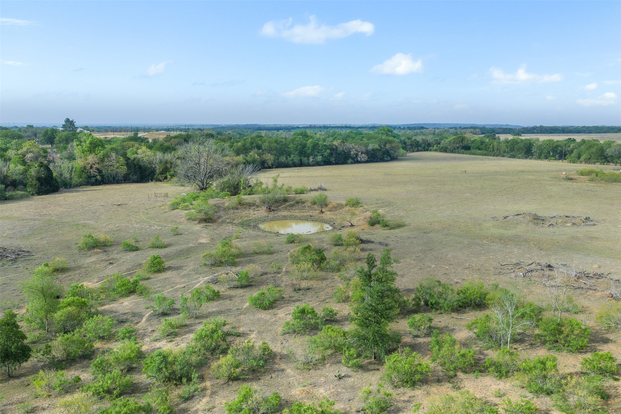 579 Lower Elgin Road Elgin, TX 78621 - Photo 5 of 40 a view of a field with a city view