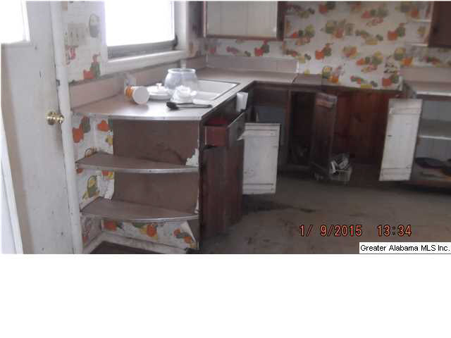 1123 Rogers Road Oneonta, AL 35121 - Photo 4 of 5