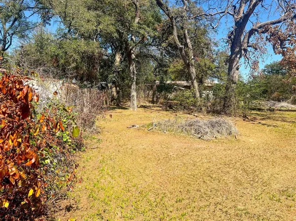 a view of a yard with plants and trees