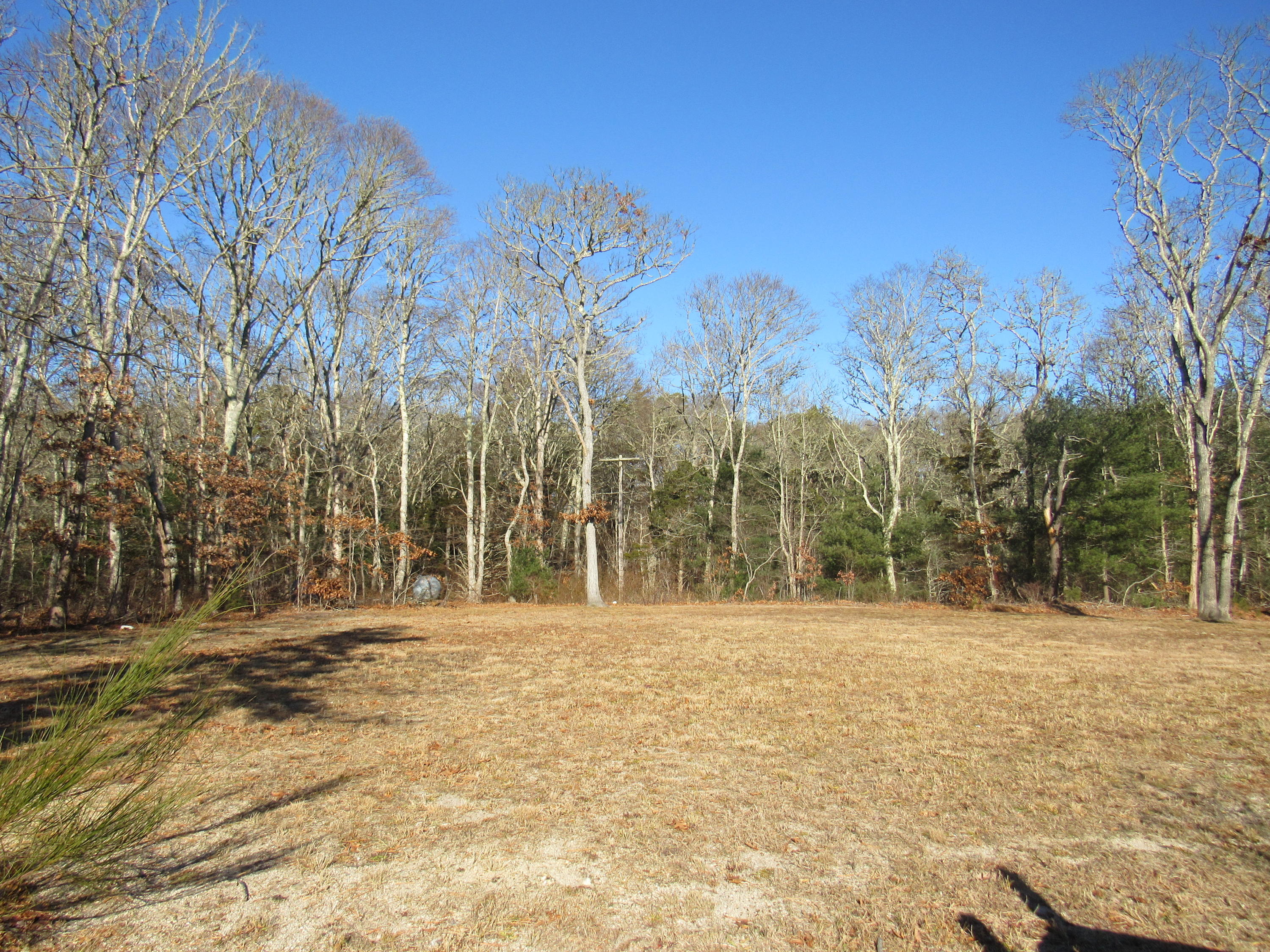 49-55 Rocky Point Road Bourne, MA 02532 - Photo 27 of 42 a view of outdoor space with trees