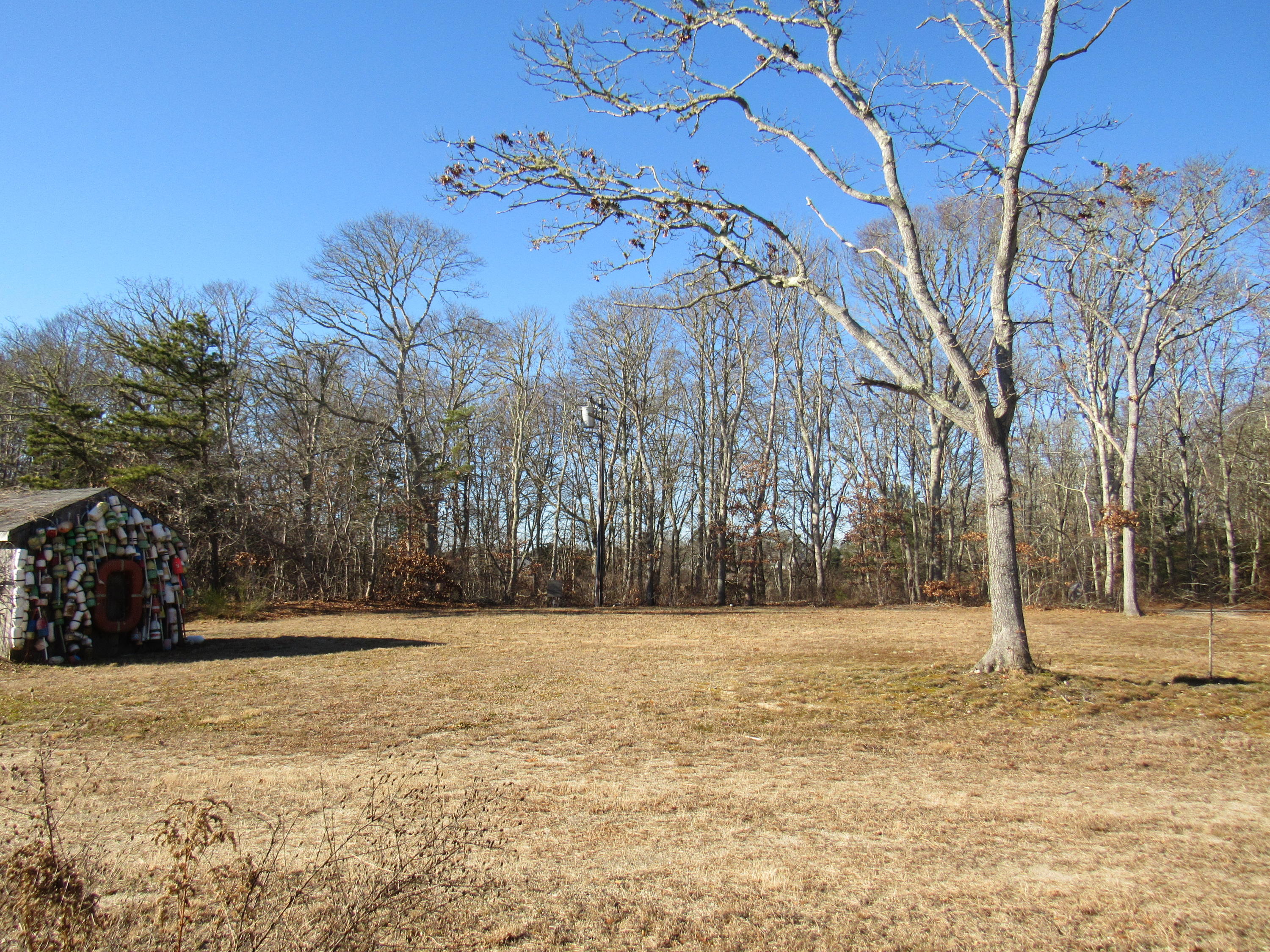 49-55 Rocky Point Road Bourne, MA 02532 - Photo 28 of 42 a view of a yard with a house