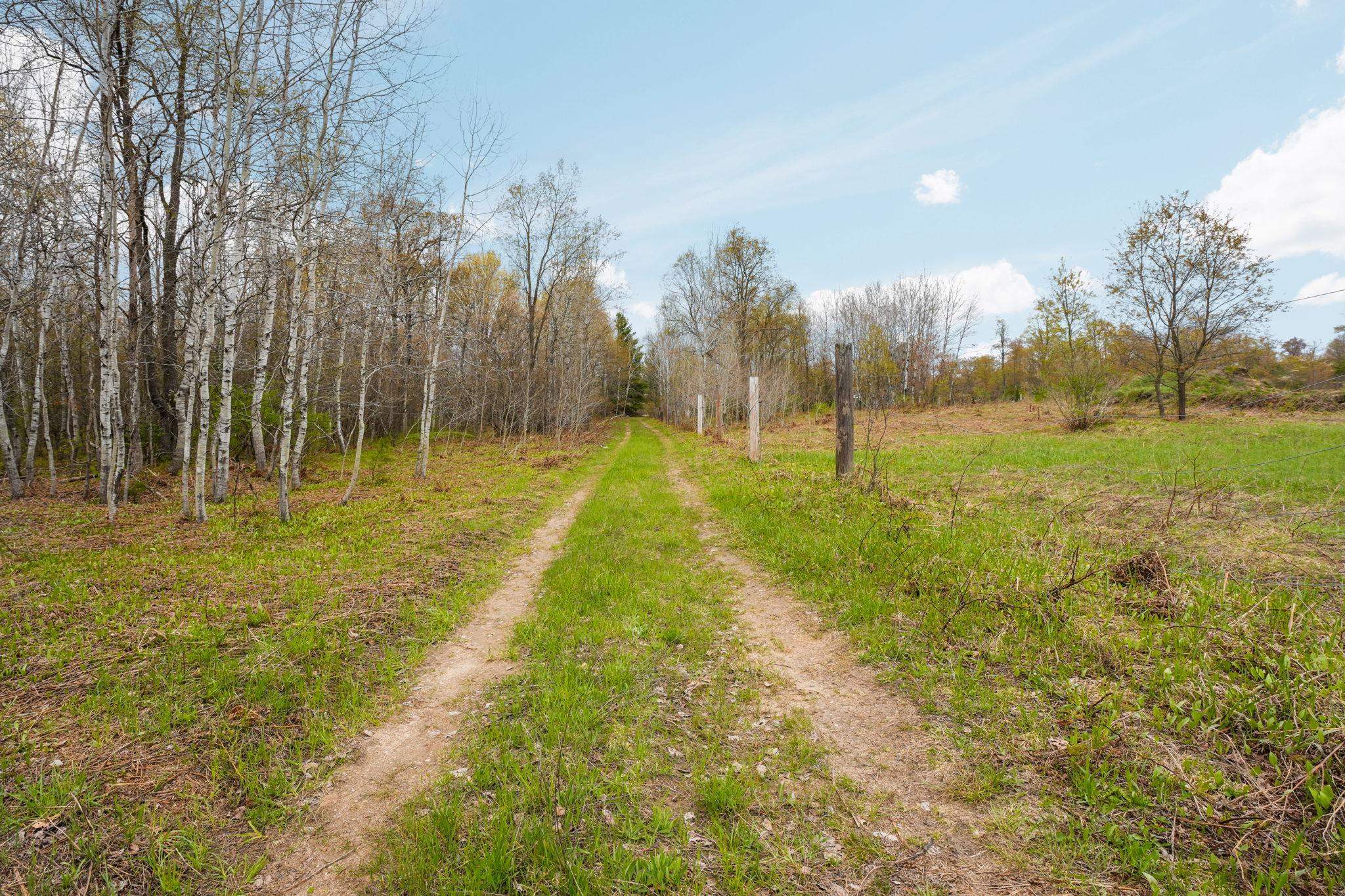 3976 Irvin Road Kingsley, MI 49649 - Photo 60 of 68