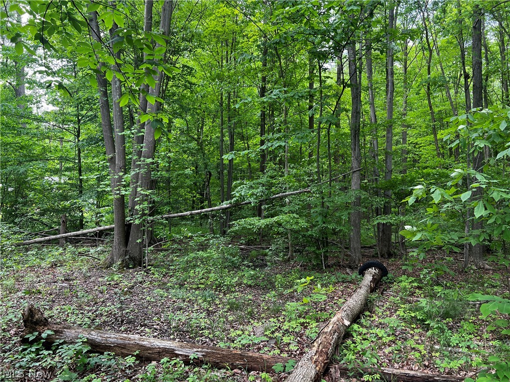 Yale Road Atwater, OH 44201 - Photo 19 of 22