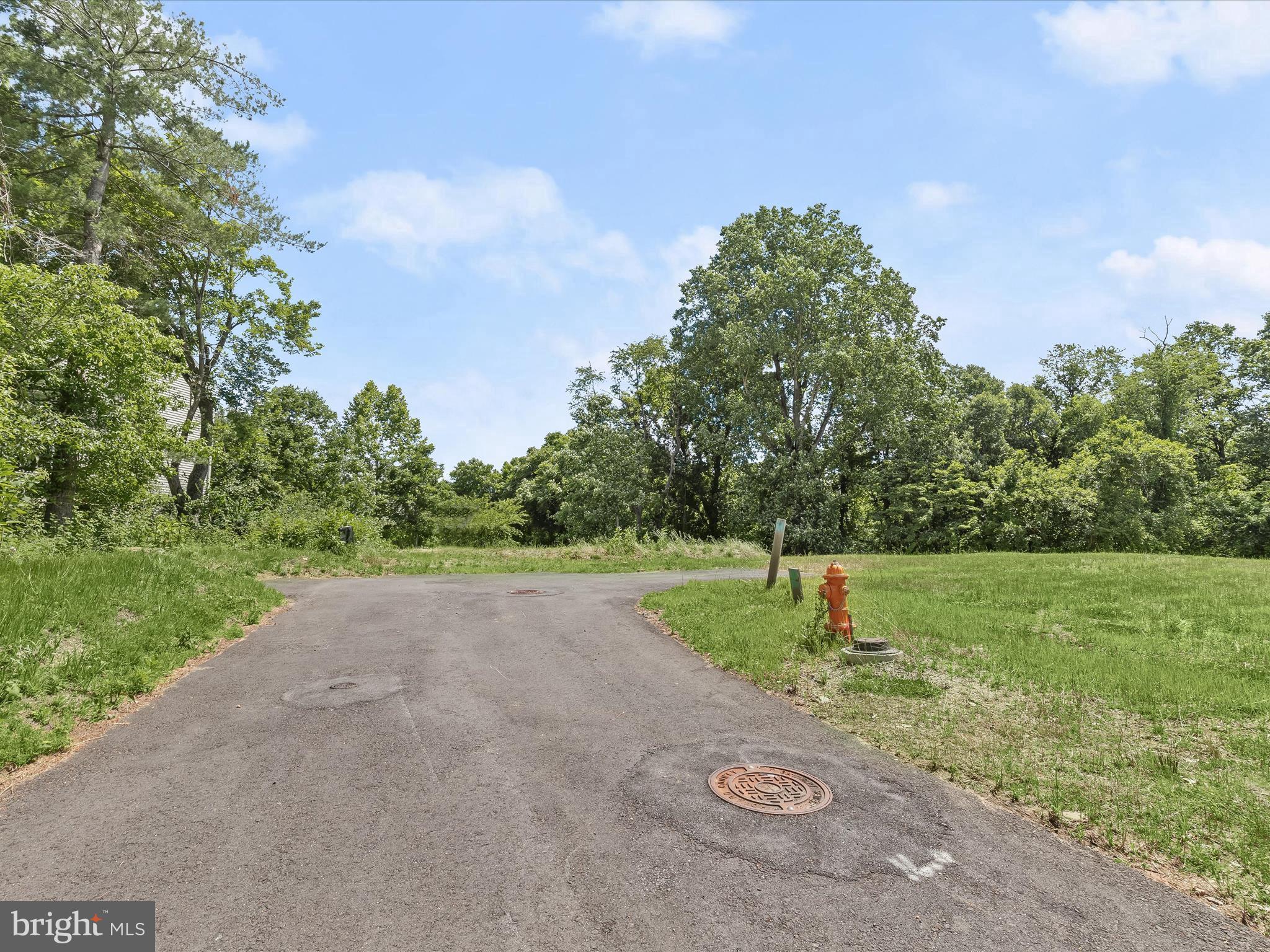 Lot 2 Guilford Road Clarksville, MD 21029 - Photo 10 of 32 a view of outdoor space with garden and trees