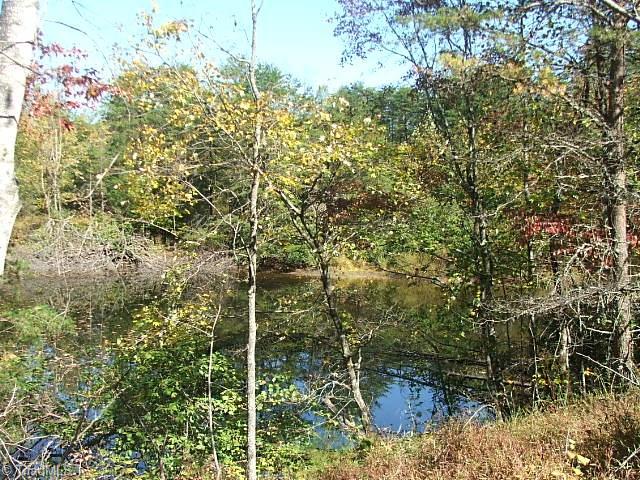 30 Flat Rock Road, Unit 30 Pinnacle, NC 27043 - Photo 1 of 22 STOCKED POND