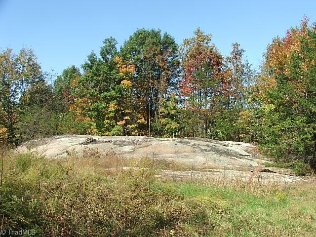 30 Flat Rock Road, Unit 30 Pinnacle, NC 27043 - Photo 2 of 22 LARGE ROCK OUT CROPPING AS LARGE AS A HOUSE