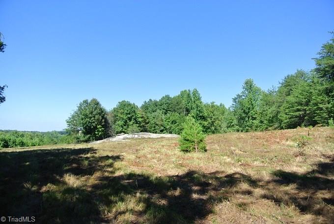 30 Flat Rock Road, Unit 30 Pinnacle, NC 27043 - Photo 11 of 22 SAME FIELD
