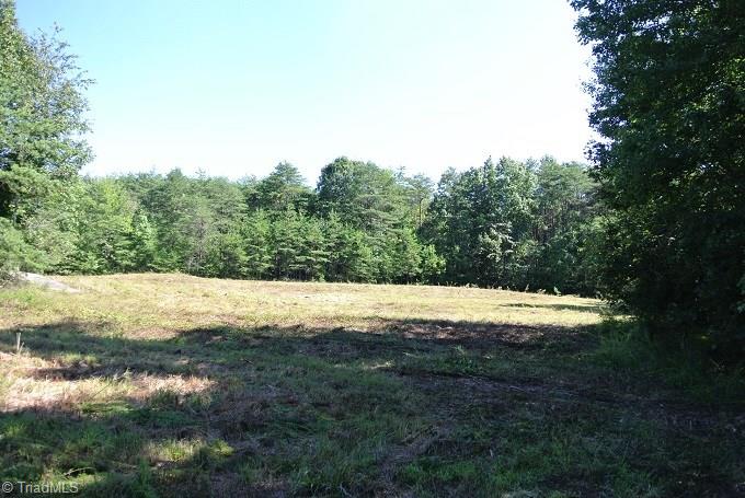 30 Flat Rock Road, Unit 30 Pinnacle, NC 27043 - Photo 12 of 22 SAME FIELD
