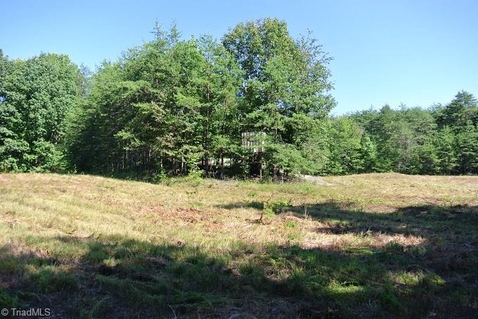 30 Flat Rock Road, Unit 30 Pinnacle, NC 27043 - Photo 13 of 22 SAME FIELD