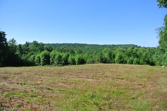 30 Flat Rock Road, Unit 30 Pinnacle, NC 27043 - Photo 14 of 22 RIGHT SIDE OF FIELD