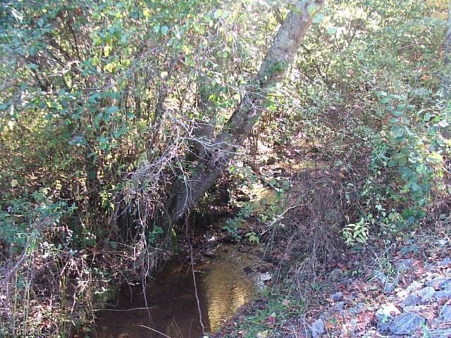 30 Flat Rock Road, Unit 30 Pinnacle, NC 27043 - Photo 17 of 22 INTERNAL STREAM