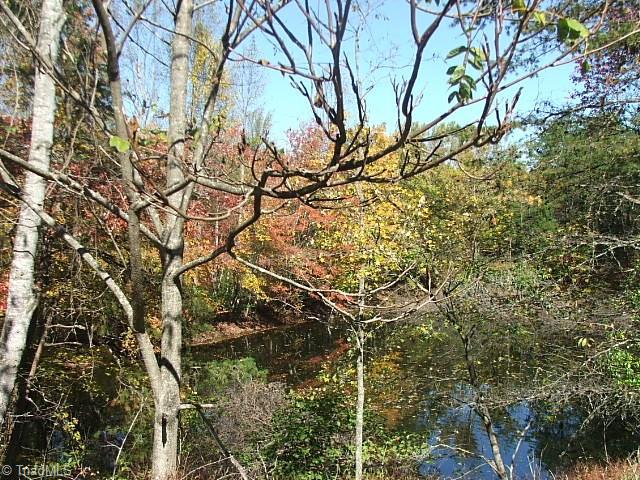 30 Flat Rock Road, Unit 30 Pinnacle, NC 27043 - Photo 4 of 22 POND SHOT