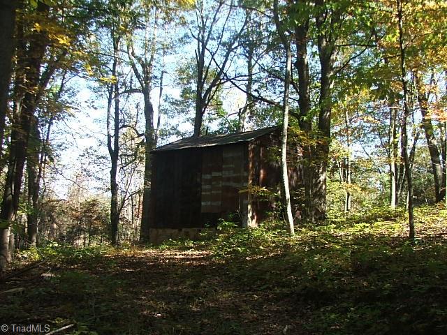 30 Flat Rock Road, Unit 30 Pinnacle, NC 27043 - Photo 6 of 22 SECOND TOBACCO BARN NEAR POND