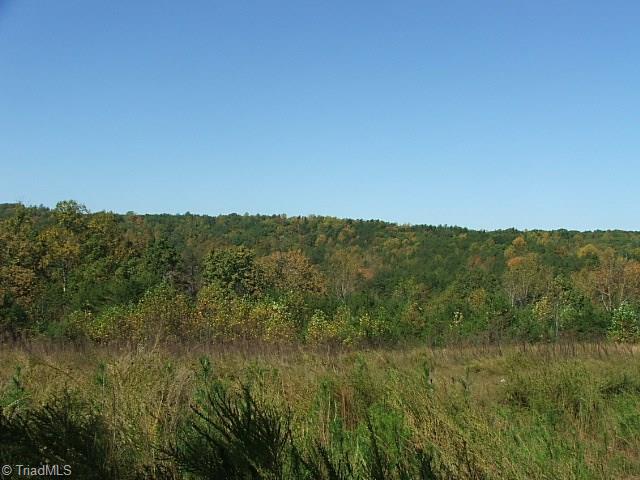 30 Flat Rock Road, Unit 30 Pinnacle, NC 27043 - Photo 7 of 22 BACK FIELD VIEW