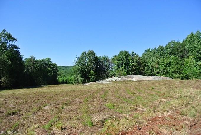 30 Flat Rock Road, Unit 30 Pinnacle, NC 27043 - Photo 10 of 22 OPEN FIELD AROUND LARGE ROCK