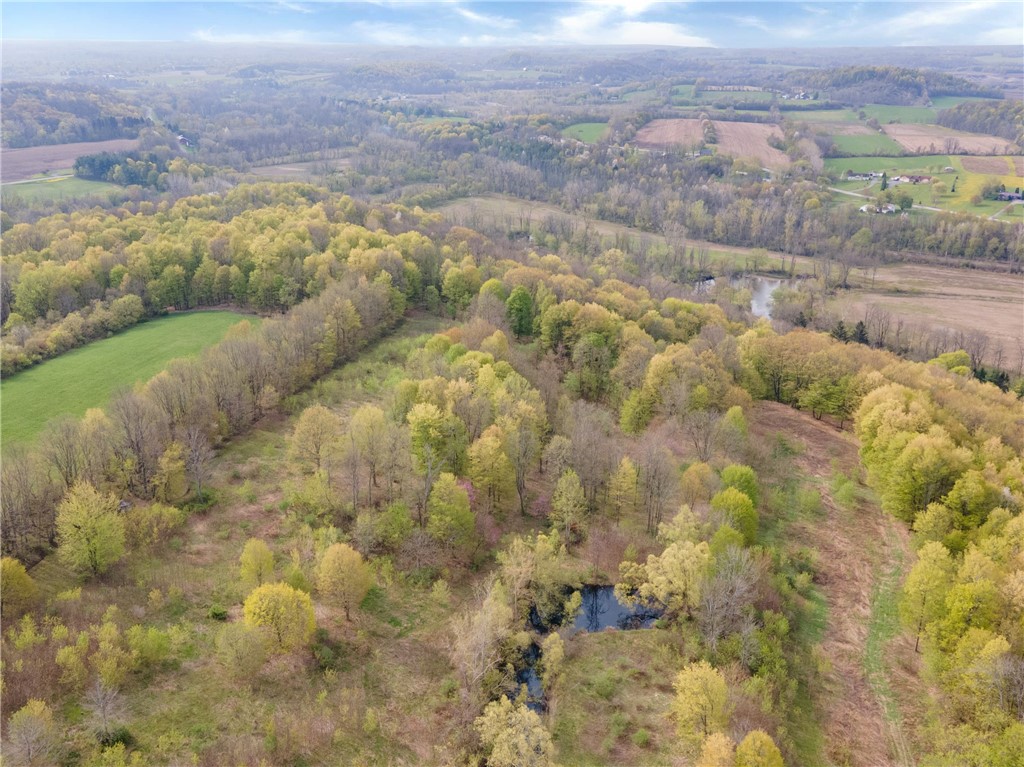 2084 Hydesville Road Arcadia, NY 14513 - Photo 11 of 46