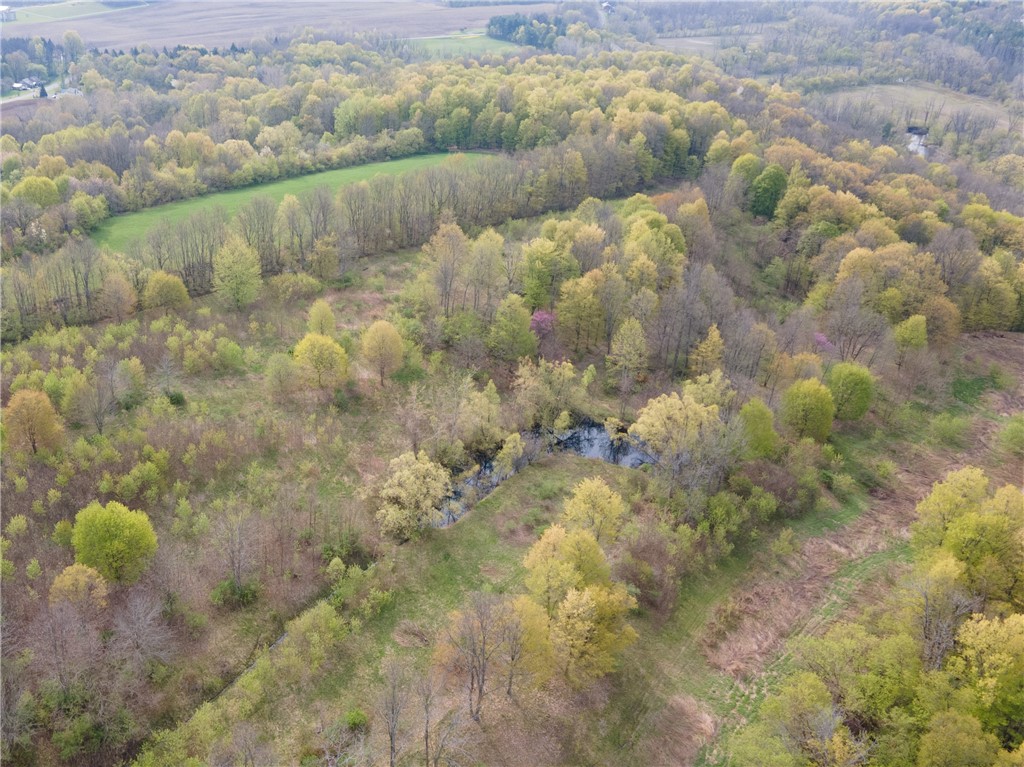 2084 Hydesville Road Arcadia, NY 14513 - Photo 4 of 46