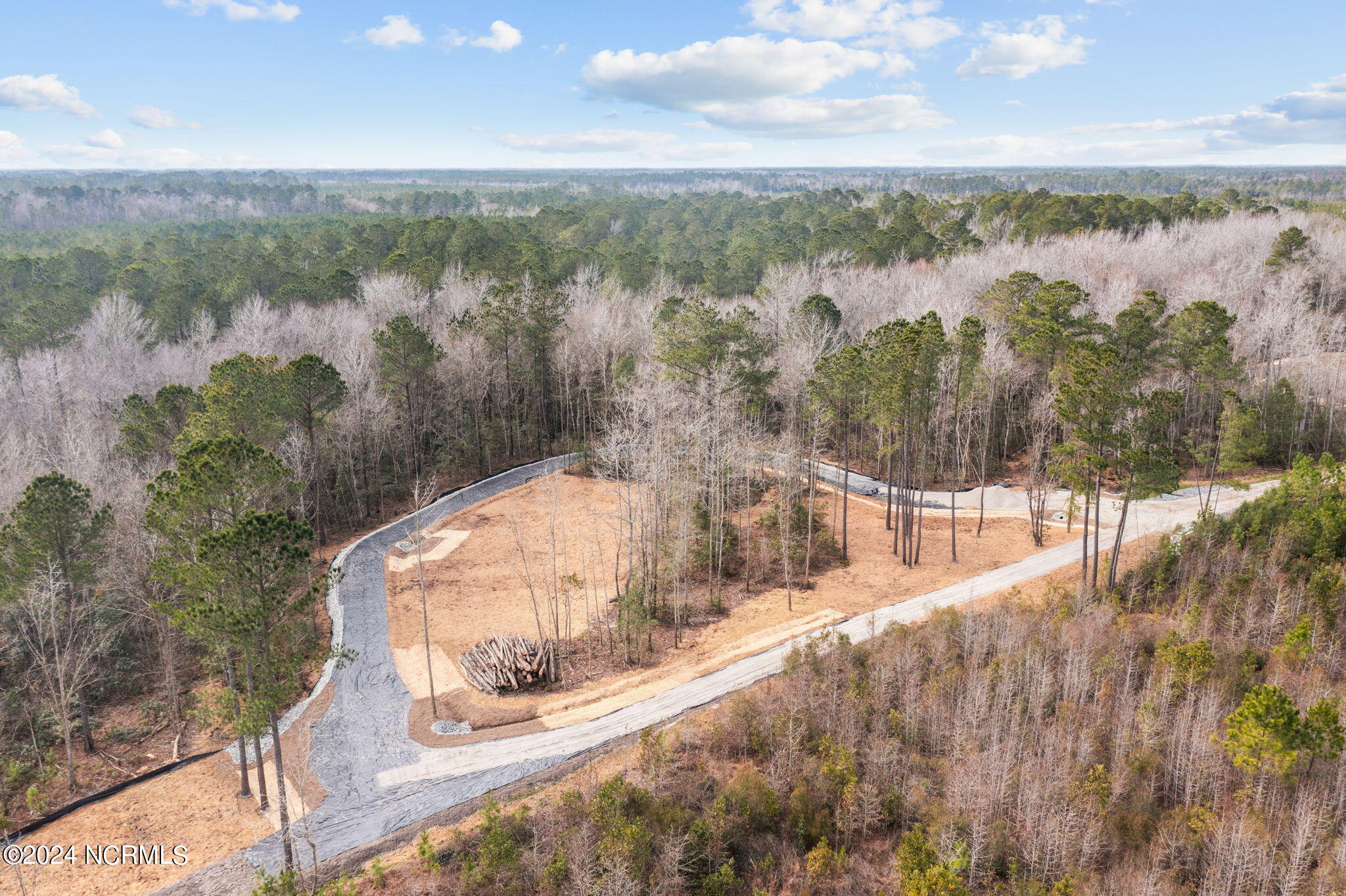 18-acre Hardy Graham Road Maple Hill, NC 28454 - Photo 11 of 22 9-web-or-mls-10