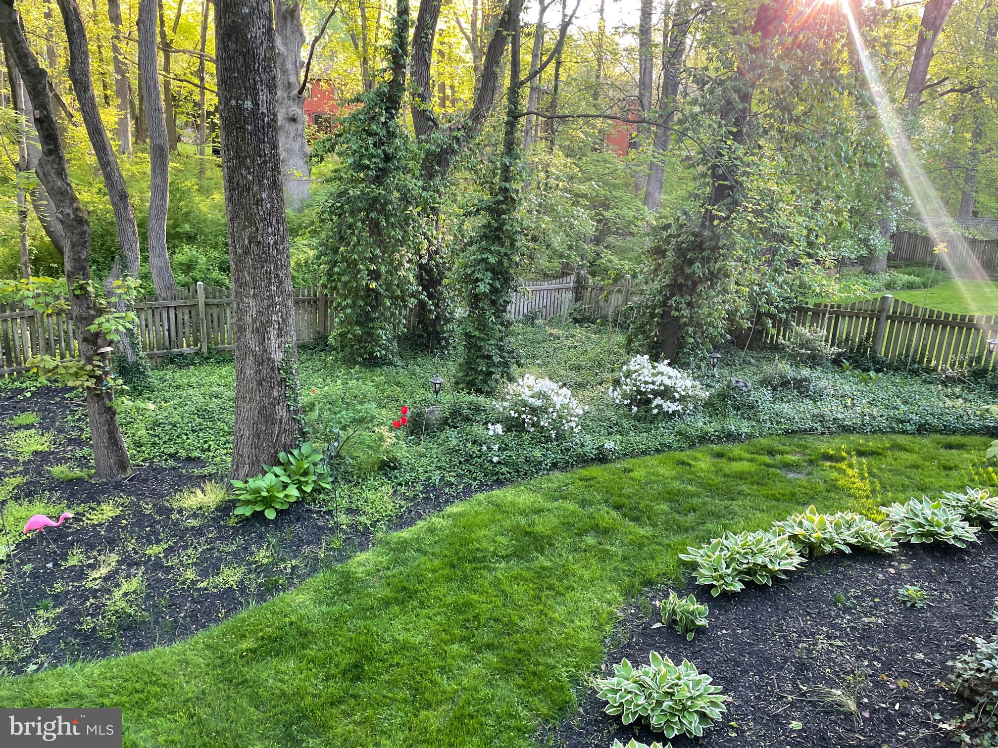 17020 Briardale Road Rockville, MD 20855 - Photo 53 of 70 Gorgeous Yard & Landscaping