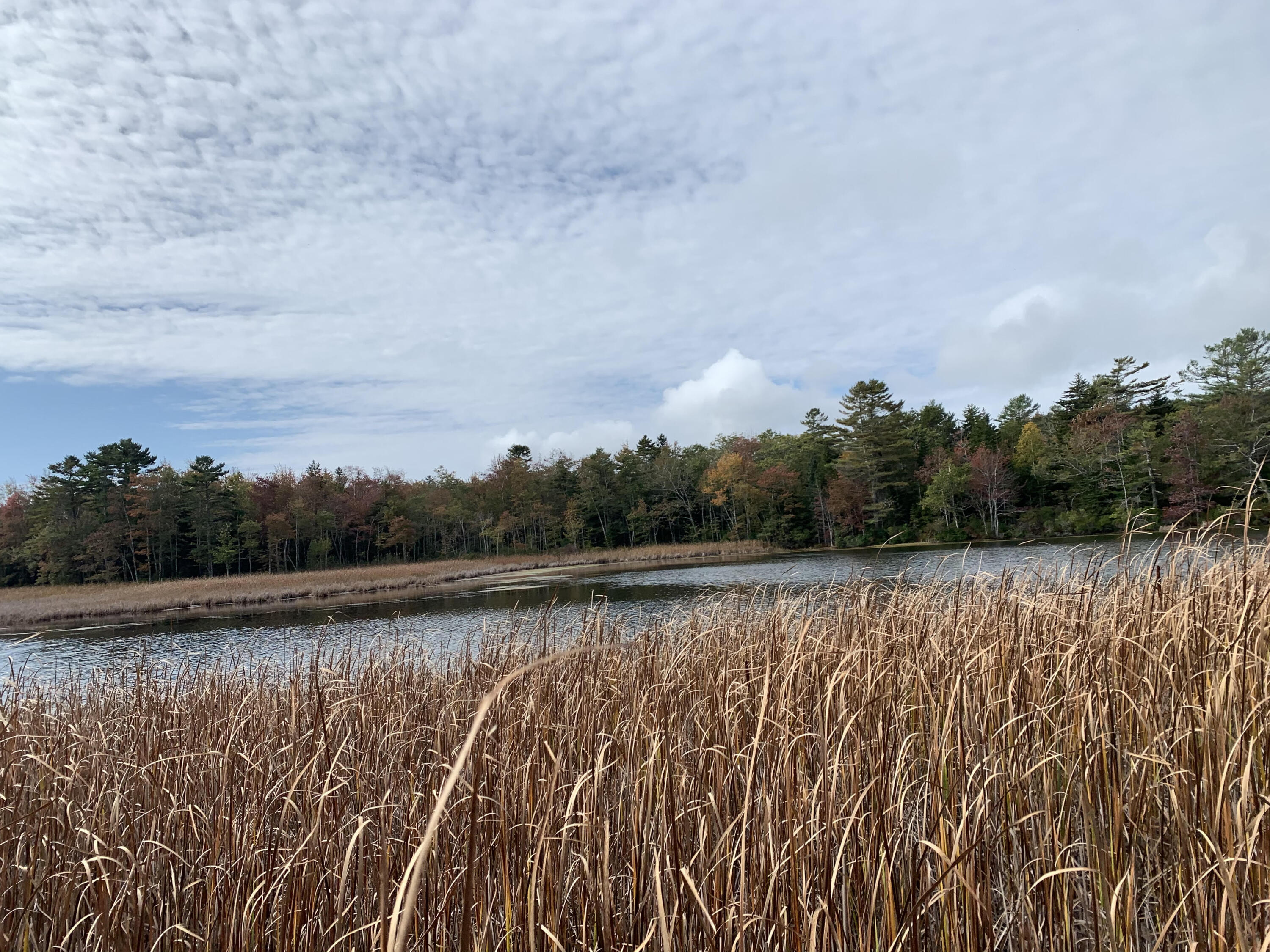 0 Long Point Road Harpswell, ME 04079 - Photo 17 of 19 unnamed 6