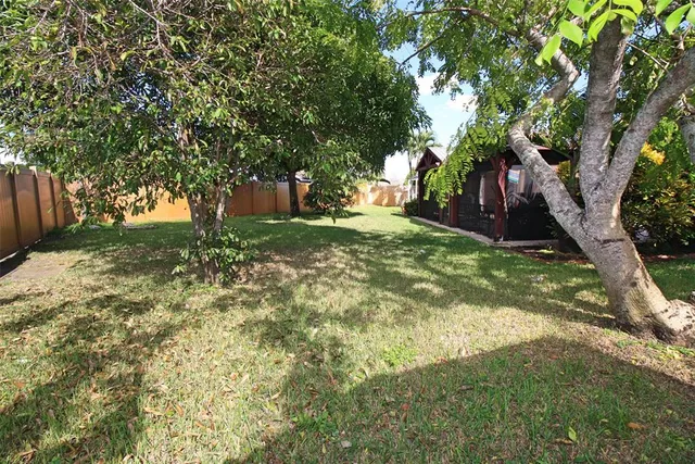 a view of a tree in a garden