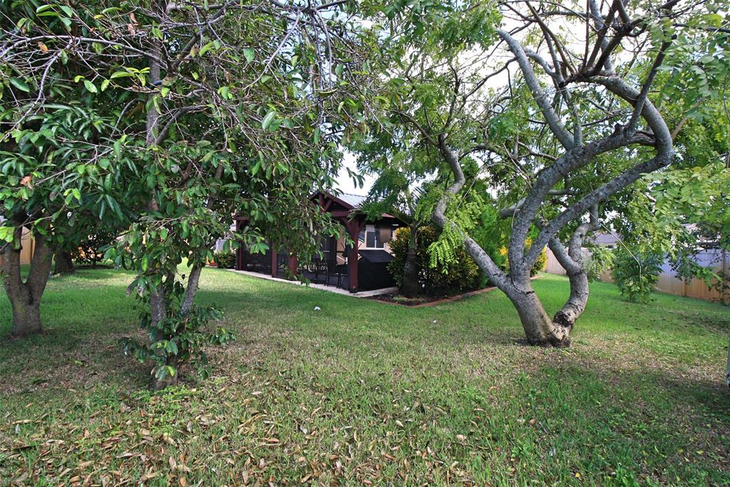 861 Southwest 55th Way Margate, FL 33068 - Photo 21 of 45 a view of a tree in a garden