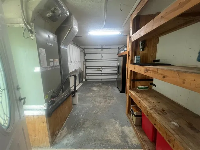 a view of a garden with a tree